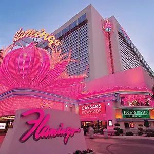 Semesteranläggning (resort) Flamingo & Casino Las Vegas